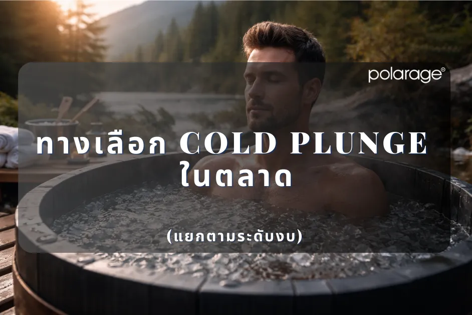 ทางเลือก Cold Plunge ในตลาด (แยกตามระดับงบ)