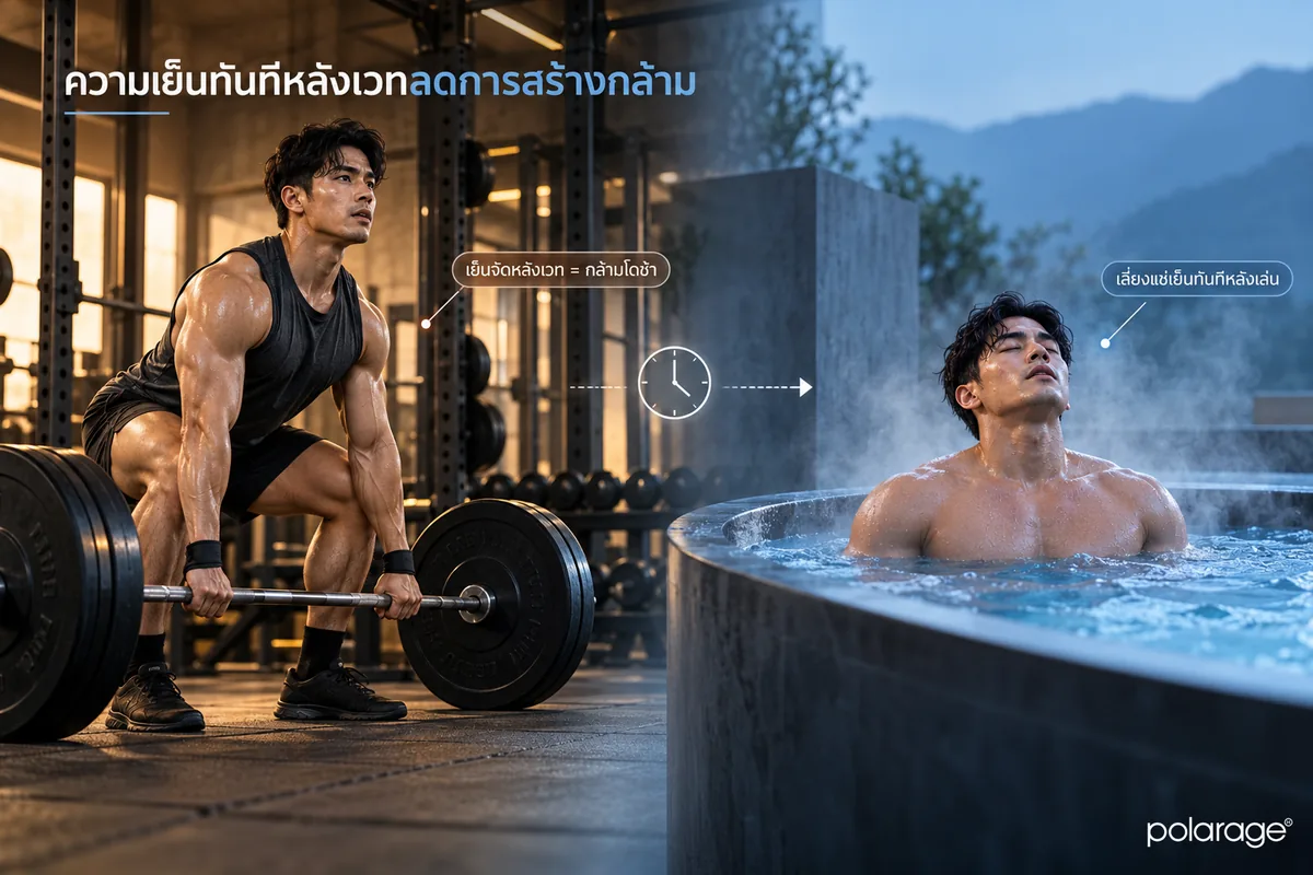 ทำไมความเย็นหลังเล่นเวททำให้กล้ามโตช้าลง